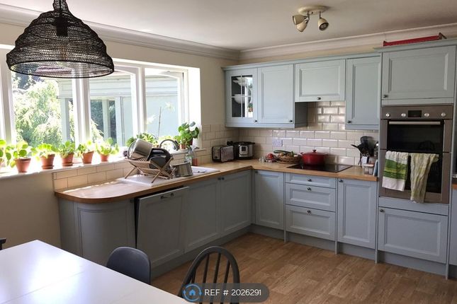 Semi-detached house to rent in Lewes, Lewes BN7