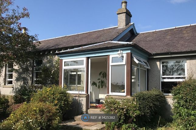 2 bed bungalow to rent in Station House, Largoward, Leven KY9