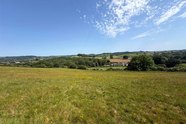 Land East Of Woods Lane,, Beaminster, Dorset photo 5