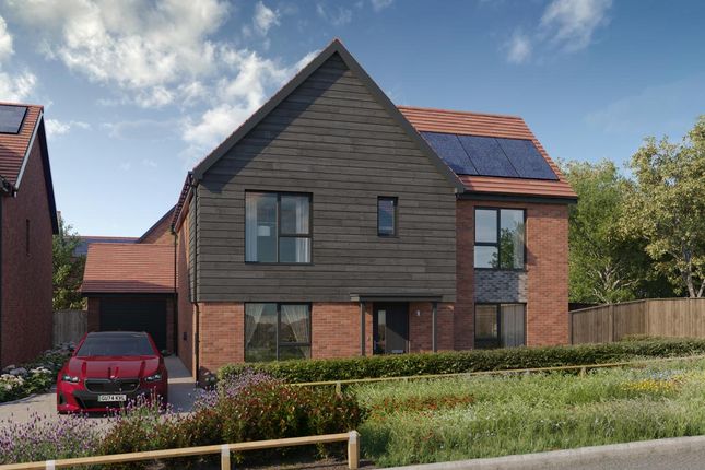 The Sweeting, Number 61