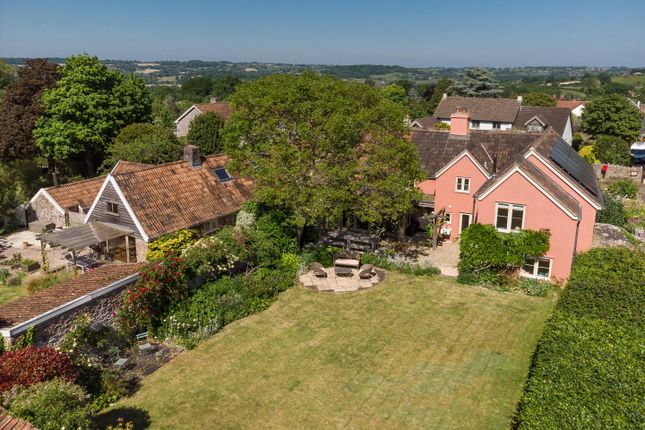 Thumbnail Detached house for sale in Burrington, Somerset