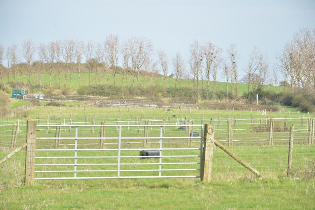 Equestrian property for sale in Raspberry Hill Lane, Iwade, Sittingbourne