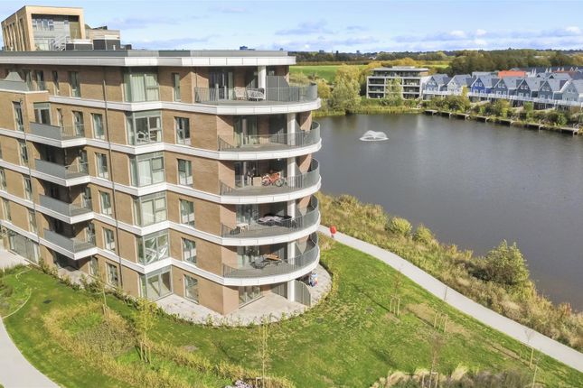 Dji_Fly_20251007_125626_603_1759838394306_Photo_Op