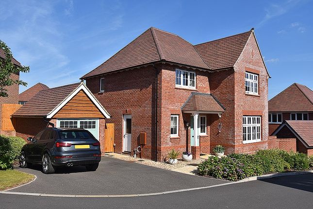 Thumbnail Detached house for sale in Houghton Grove, Exeter