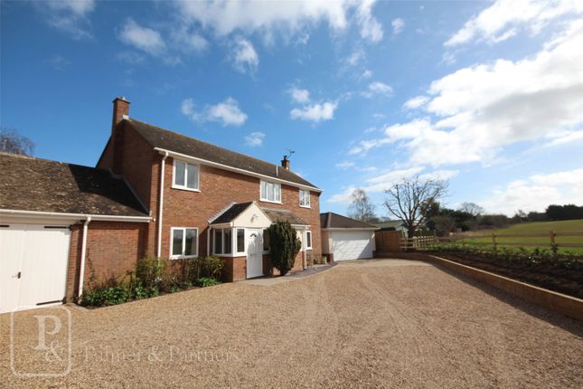 Thumbnail Detached house for sale in Gutteridge Hall Lane, Weeley, Clacton-On-Sea, Essex