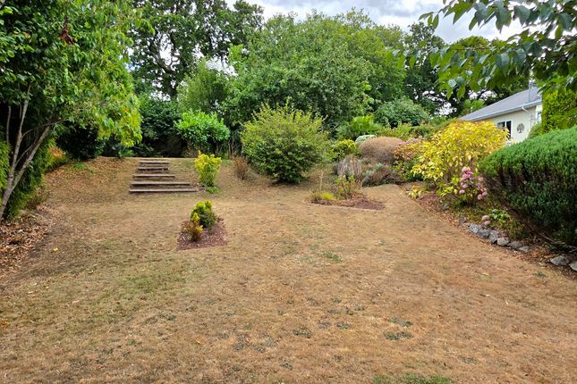 Combe Mount, Torquay photo 4