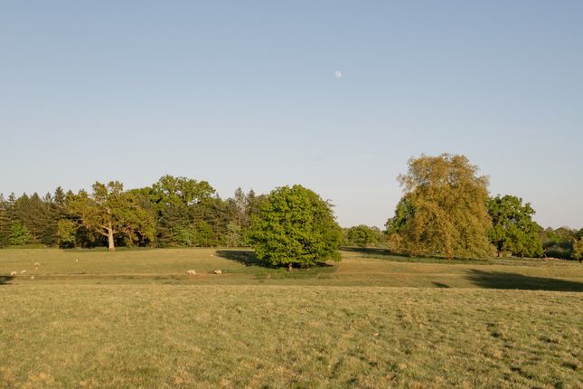 Picture No. 35