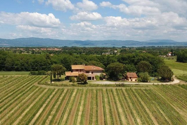 Thumbnail Country house for sale in Via Delle Querce, Castiglione Del Lago, Umbria