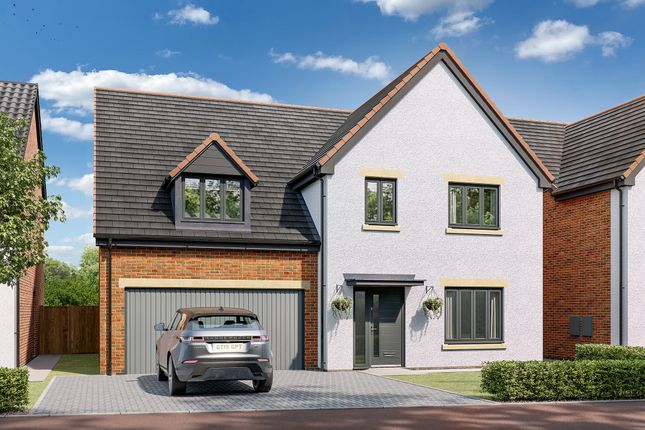 Thumbnail Detached house for sale in "The Walcott" at Lipwood Way, Wynyard, Billingham
