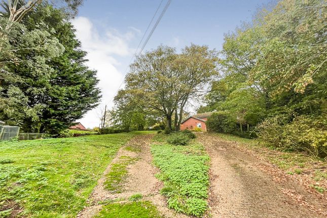 Detached house for sale in High Road, Needham, Harleston
