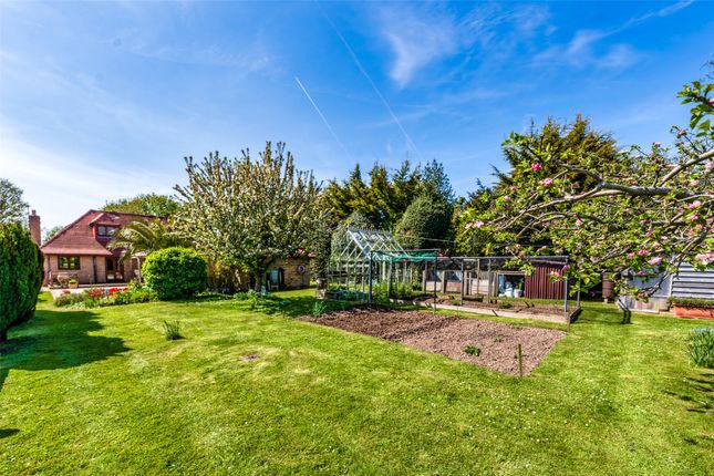 Detached house for sale in Arundel Road, Castle Goring, Worthing, West Sussex