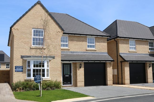 Detached house for sale in "Meriden" at Flag Cutters Way, Horsford, Norwich