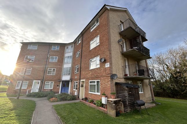 43, Hunters Hill, Reading photo 4