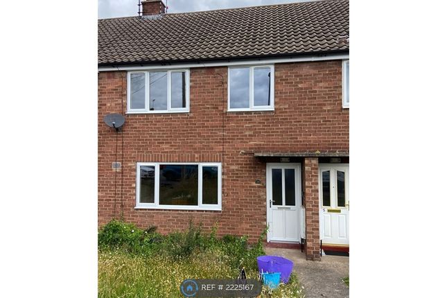 Terraced house to rent in Rhodes Avenue, Sleaford