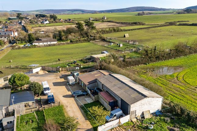 Barns at Wellow Alpaca Stud, Main Road, Wellow photo 3