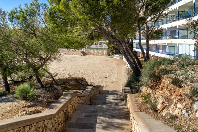 Apartment for sale in Palmanova, Mallorca, Balearic Islands