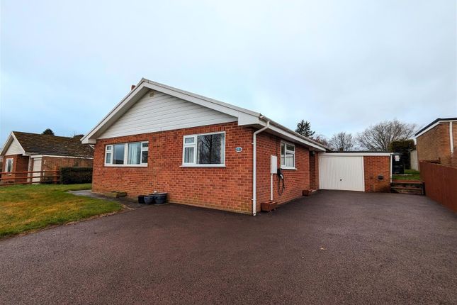 Thumbnail Detached bungalow to rent in Mount Way, St Weonards, Hereford