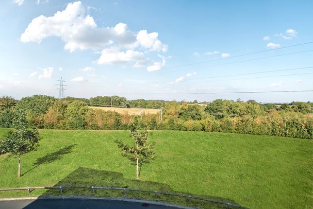 Upper Ox Hill, Purton photo 3