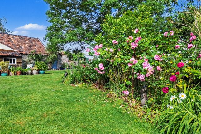 Lillesdon Farm,, Lillesdon, Somerset photo 4