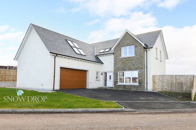 Thumbnail Detached house for sale in Kirkview Crescent, St. Cyrus, Montrose