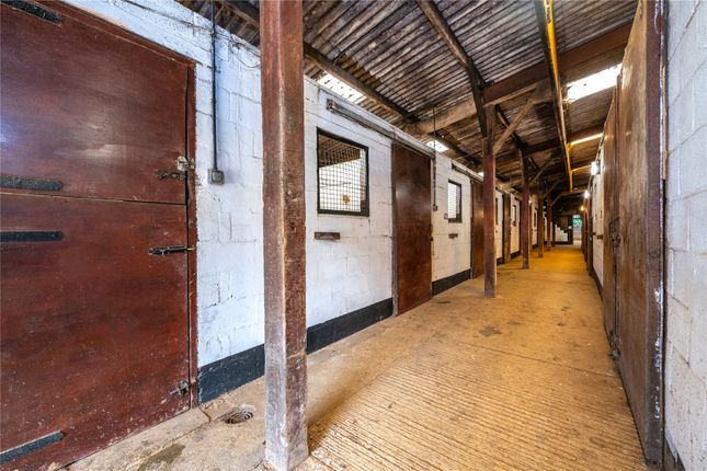 Stables