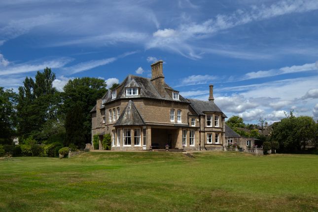Rear Elevation