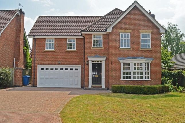 Thumbnail Detached house to rent in Woodhall Park, Beverley