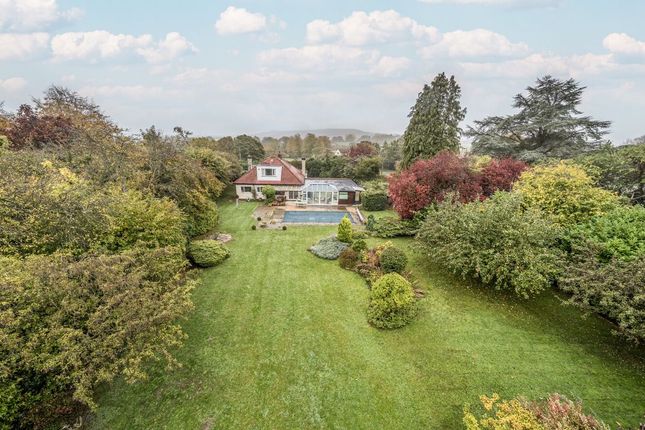 1362648268Ed3c52B3d7d