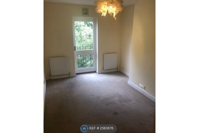 Richmond Road, Flat, Twickenham photo 4