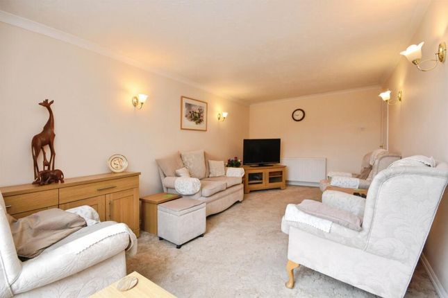 10, Bree Avenue, Colchester photo 4