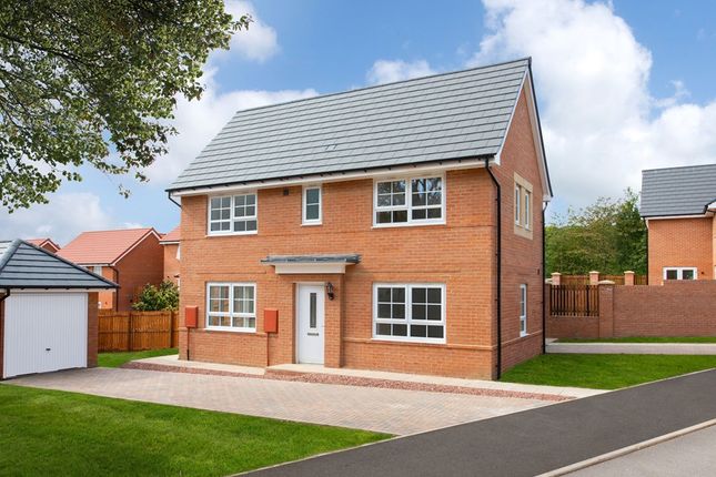 Thumbnail Detached house for sale in "Ennerdale" at St. Benedicts Way, Ryhope, Sunderland