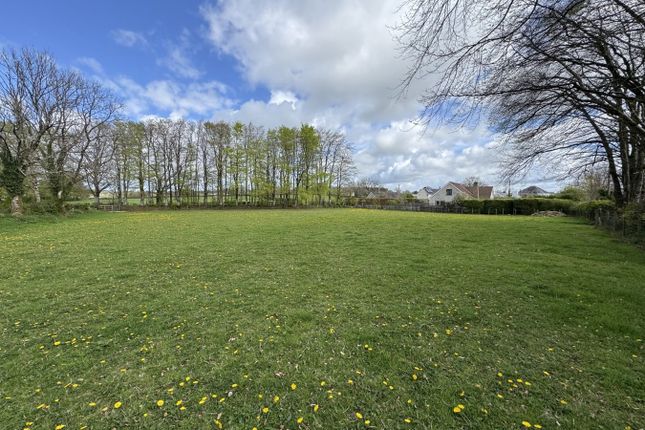 Llannerch, Prengwyn, Llandysul photo 4