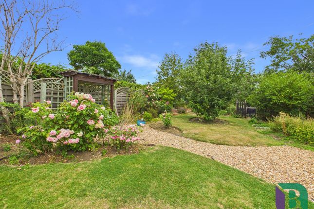 156a, Lower Shelton Road, Bedford photo 4