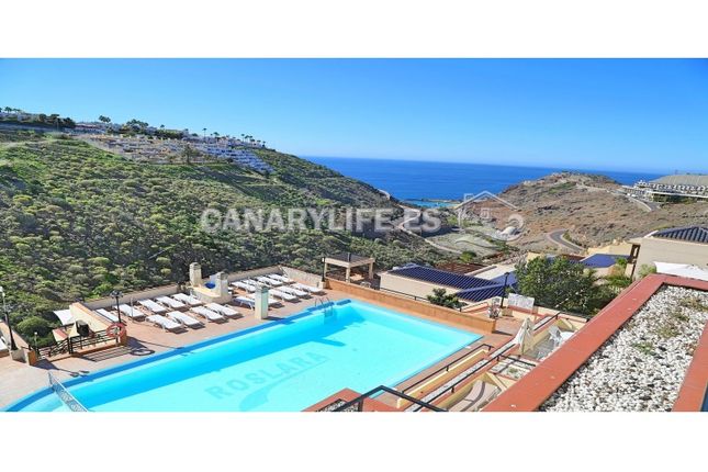 Apartments For In Mogán Gran Canaria Canary Islands Spain Thumbnail Studio For In Amadores Puerto Rico Mogán