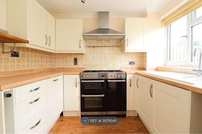 Daffodil Way, Chelmsford photo 5