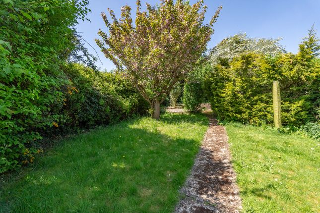 7 Lakeview Cottages, Balchins Lane, Dorking photo 5