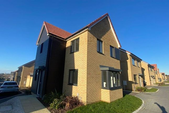 Thumbnail Detached house for sale in Belgrave Avenue, Minster-On-Sea, Sheerness, Kent