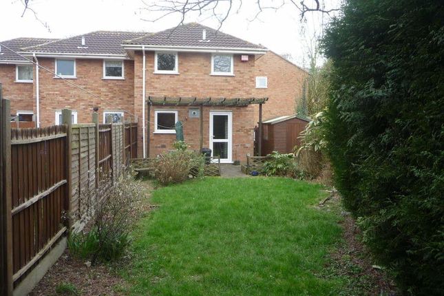 Semi-detached house to rent in Squires Close, Coffee Hall, Milton Keynes