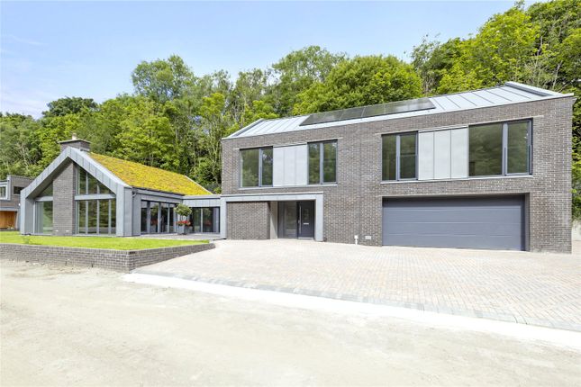 Baberton Loan 54