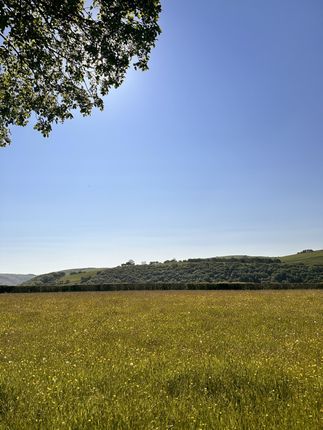 Highly Desirable Stock Farm In The Teme Valley