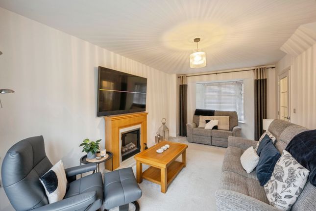 8, Hunter Road, Doncaster photo 5