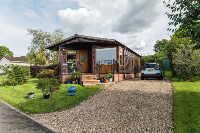 Thumbnail Property for sale in The Cedars, Otter Valley Park, Honiton, Devon