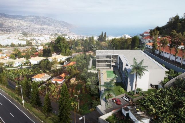 Thumbnail Apartment for sale in São Martinho, Funchal, Ilha Da Madeira