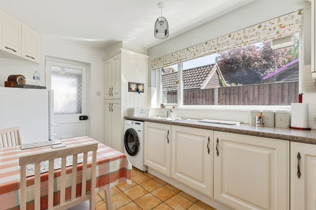 Petersfynde,, Rosemary Lane, Norwich photo 4