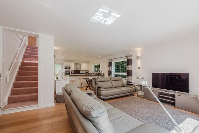 Living Room And Dining Kitchen