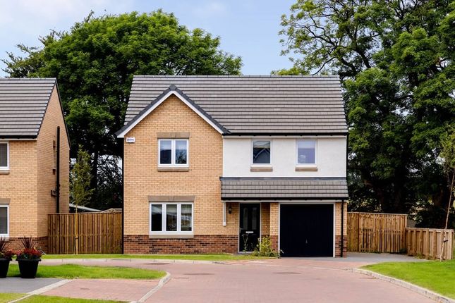 Thumbnail Detached house for sale in "The Geddes - Plot 590" at Hawkhead Road, Paisley