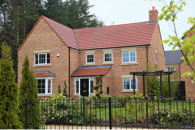 Thumbnail Detached house for sale in "The Frampton - Plot 104" at The Meadows, Wynyard, Billingham