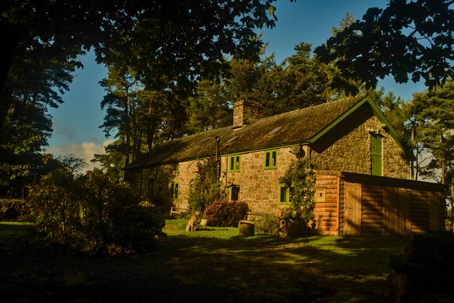 313491 - 20251029_Bwlch_Coch__Shot_1_165.Jpg