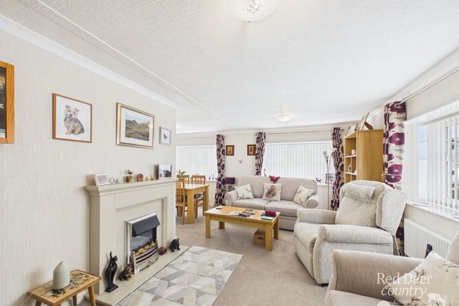 16 The Tides, Watchet photo 3