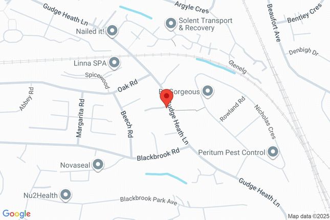Google Maps Image